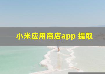 小米应用商店app 提取